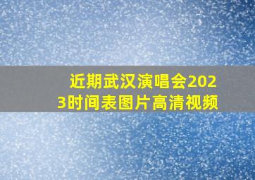 近期武汉演唱会2023时间表图片高清视频