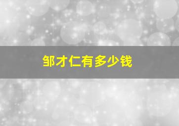 邹才仁有多少钱