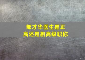 邹才华医生是正高还是副高级职称