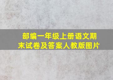 部编一年级上册语文期末试卷及答案人教版图片