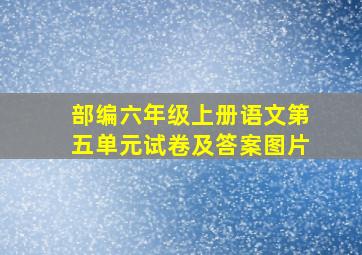 部编六年级上册语文第五单元试卷及答案图片