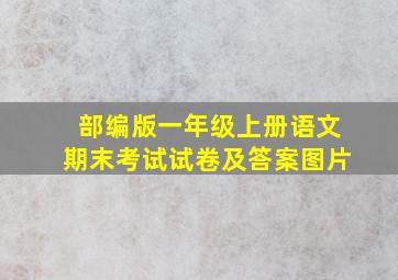 部编版一年级上册语文期末考试试卷及答案图片