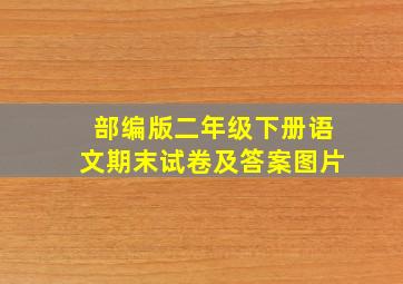 部编版二年级下册语文期末试卷及答案图片