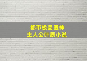 都市极品医神主人公叶辰小说