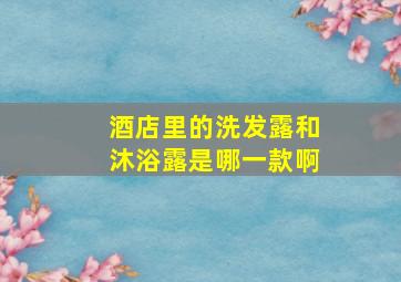 酒店里的洗发露和沐浴露是哪一款啊