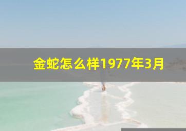 金蛇怎么样1977年3月