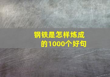 钢铁是怎样炼成的1000个好句