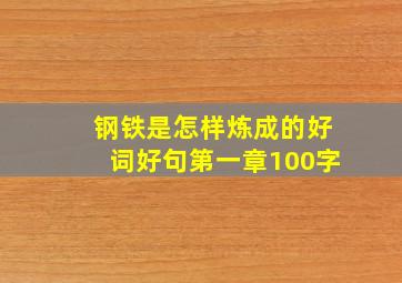 钢铁是怎样炼成的好词好句第一章100字