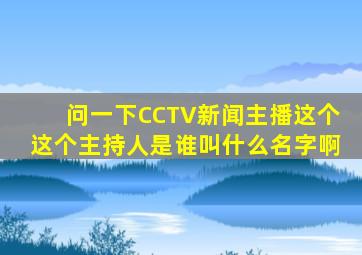 问一下CCTV新闻主播这个这个主持人是谁叫什么名字啊