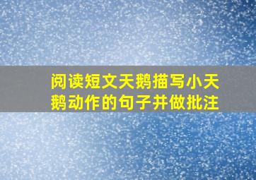 阅读短文天鹅描写小天鹅动作的句子并做批注