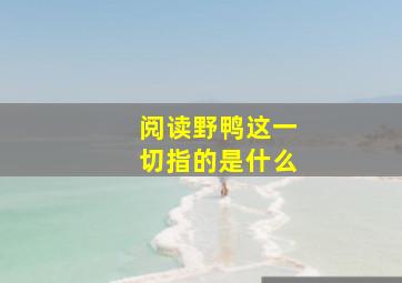 阅读野鸭这一切指的是什么