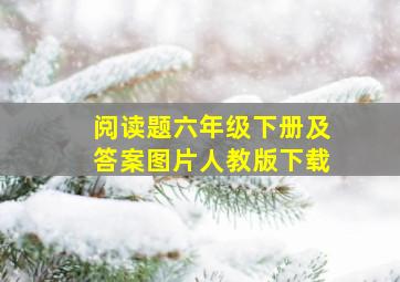 阅读题六年级下册及答案图片人教版下载