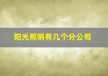 阳光照明有几个分公司