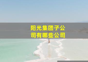 阳光集团子公司有哪些公司