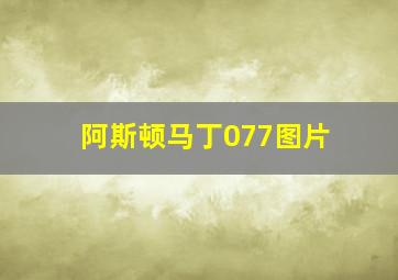 阿斯顿马丁077图片