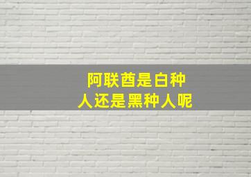 阿联酋是白种人还是黑种人呢