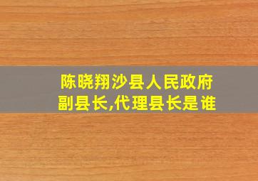 陈晓翔沙县人民政府副县长,代理县长是谁