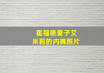 霍福德妻子艾米莉的内裤照片