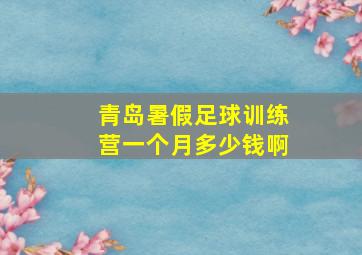 青岛暑假足球训练营一个月多少钱啊