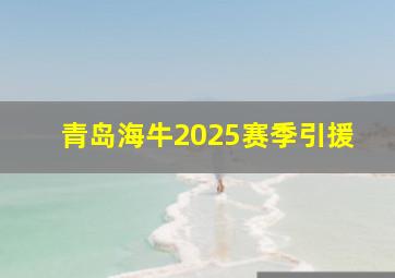 青岛海牛2025赛季引援