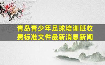 青岛青少年足球培训班收费标准文件最新消息新闻