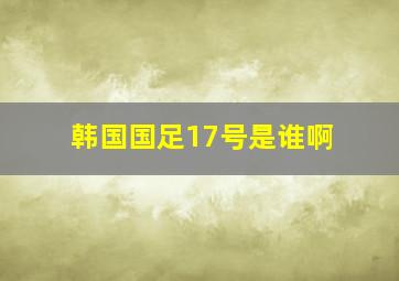 韩国国足17号是谁啊