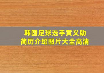 韩国足球选手黄义助简历介绍图片大全高清