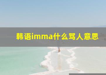 韩语imma什么骂人意思