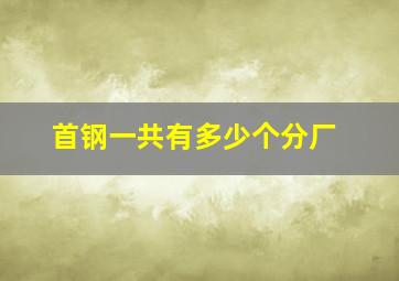 首钢一共有多少个分厂