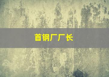 首钢厂厂长