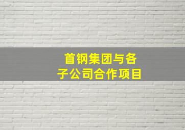 首钢集团与各子公司合作项目