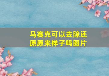 马赛克可以去除还原原来样子吗图片