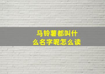 马铃薯都叫什么名字呢怎么读