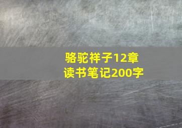 骆驼祥子12章读书笔记200字