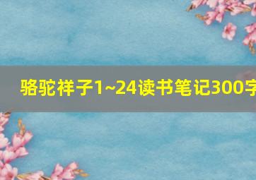 骆驼祥子1~24读书笔记300字