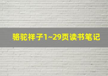 骆驼祥子1~29页读书笔记