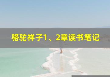 骆驼祥子1、2章读书笔记