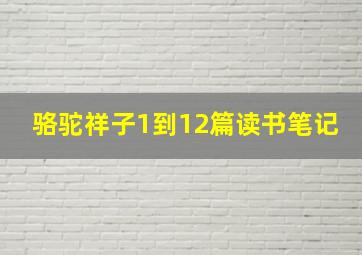 骆驼祥子1到12篇读书笔记