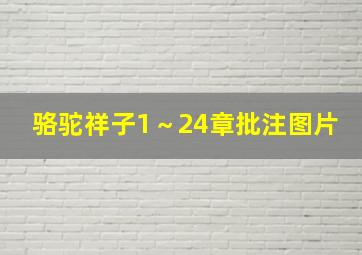 骆驼祥子1～24章批注图片