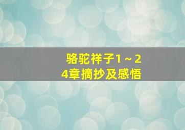 骆驼祥子1～24章摘抄及感悟