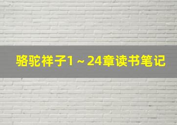 骆驼祥子1～24章读书笔记