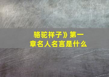 骆驼祥子》第一章名人名言是什么