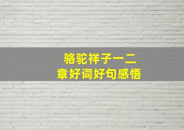 骆驼祥子一二章好词好句感悟