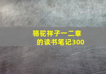 骆驼祥子一二章的读书笔记300