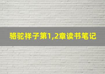 骆驼祥子第1,2章读书笔记