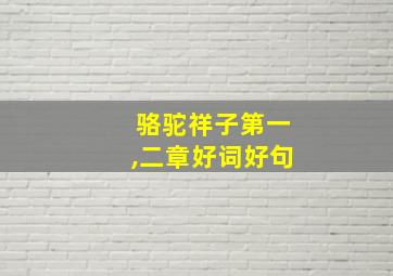 骆驼祥子第一,二章好词好句