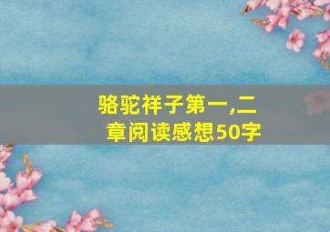 骆驼祥子第一,二章阅读感想50字