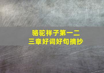 骆驼祥子第一二三章好词好句摘抄