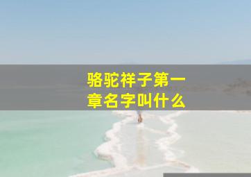 骆驼祥子第一章名字叫什么