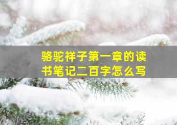 骆驼祥子第一章的读书笔记二百字怎么写